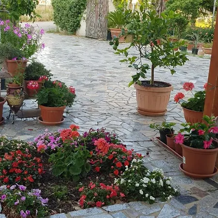 ゲストハウス La Tenuta Di Panfilo *